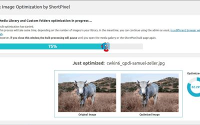 Optimitza el teu lloc web carregant les imatges des d’un CDN