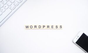 Plugin per a WordPress que afegeix cabaceras de seguretat X-Content, X-Frame y X-XSS Protection